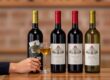 copa di vino net worth