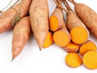 how far did sweet potatoes travel to texas