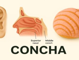 concha